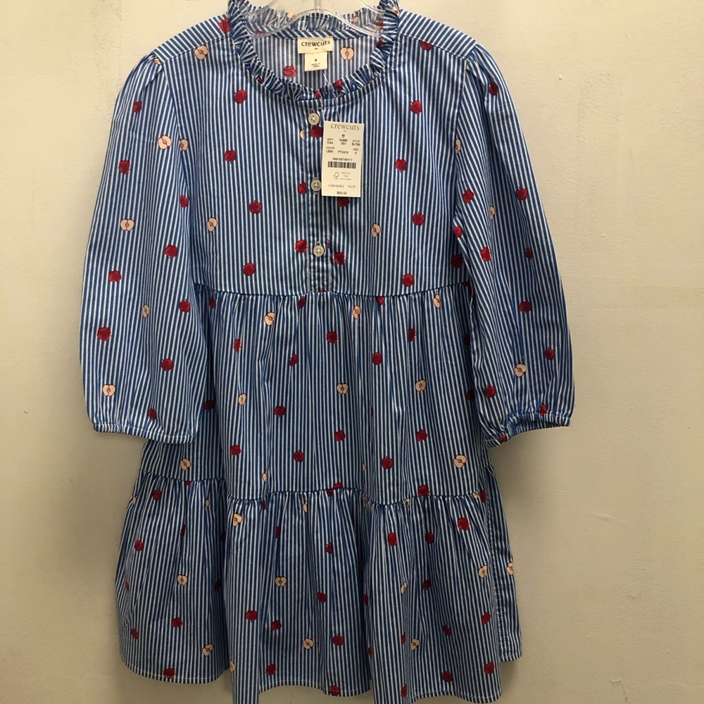 Crewcuts Blue and White Stripe Tiered Dress with Red and Pink Apples!